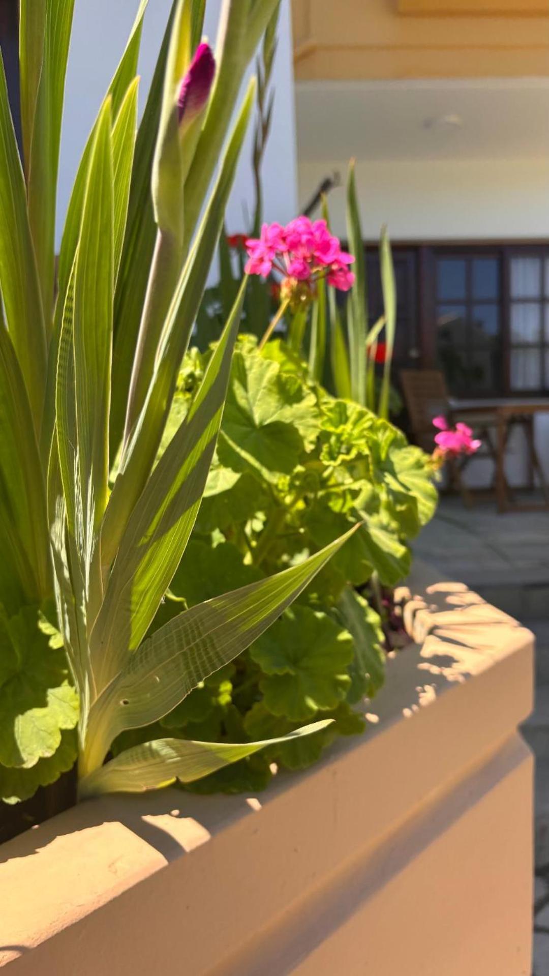 Menelaos Apartments Daratsos Dış mekan fotoğraf